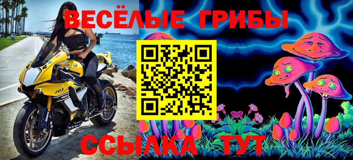 Галлюциногенные грибы Cubensis  Вход с VPN  Моздок 