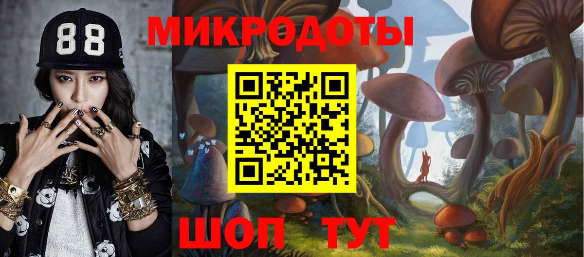 Псилоцибиновые грибы GOLDEN TEACHER Моздок